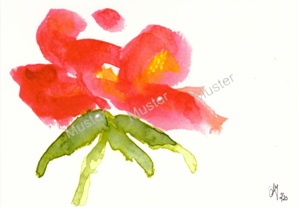 Rose 3